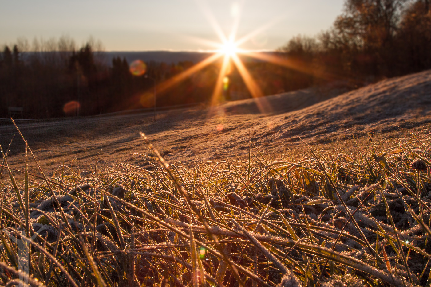 Frostig morgon i Jämtland