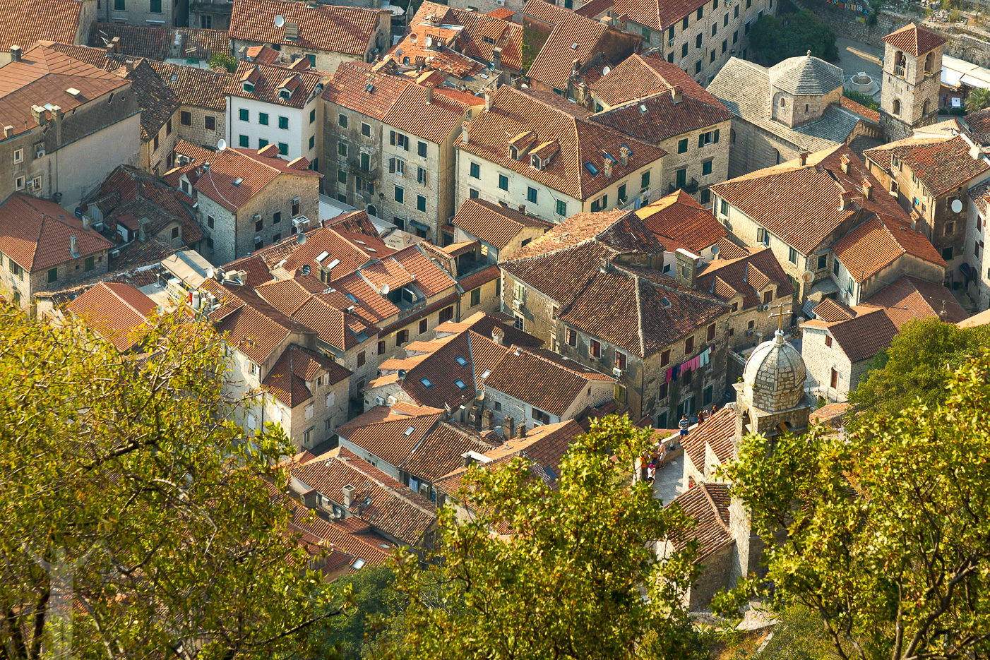 Gamla stan i Kotor