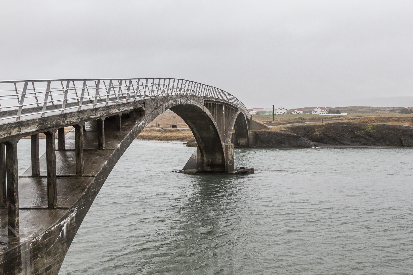 Smal bro på Island
