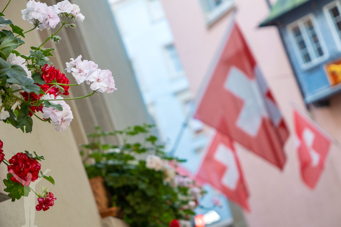 Flaggor och blommor i gamla stan